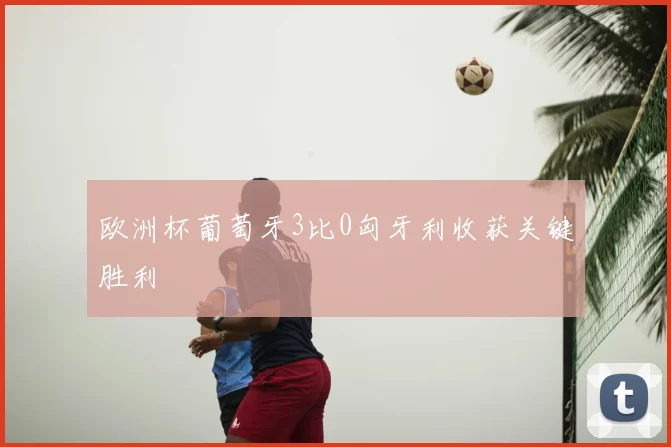 欧洲杯葡萄牙3比0匈牙利收获关键胜利
