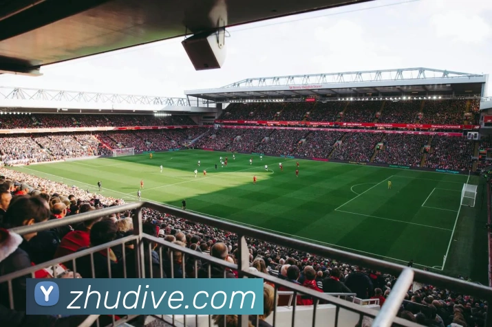 App Interface Preview