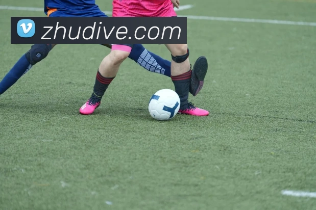 ky体育APP 封面图